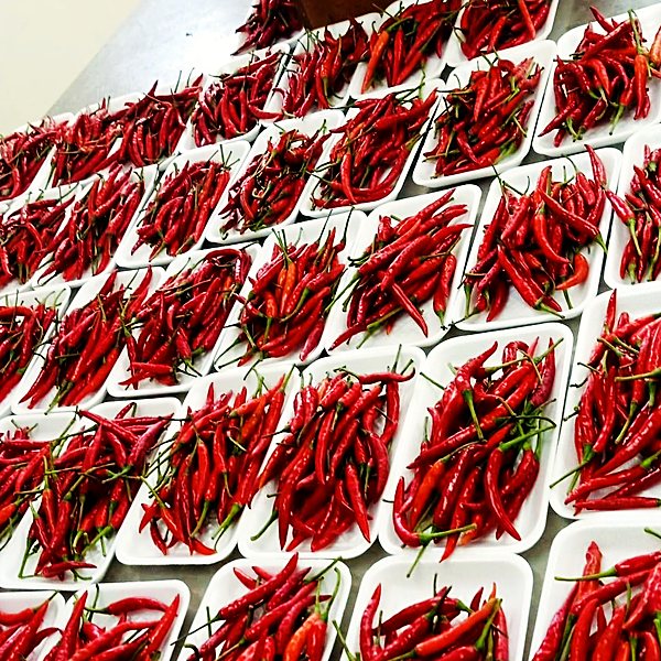 Chilli