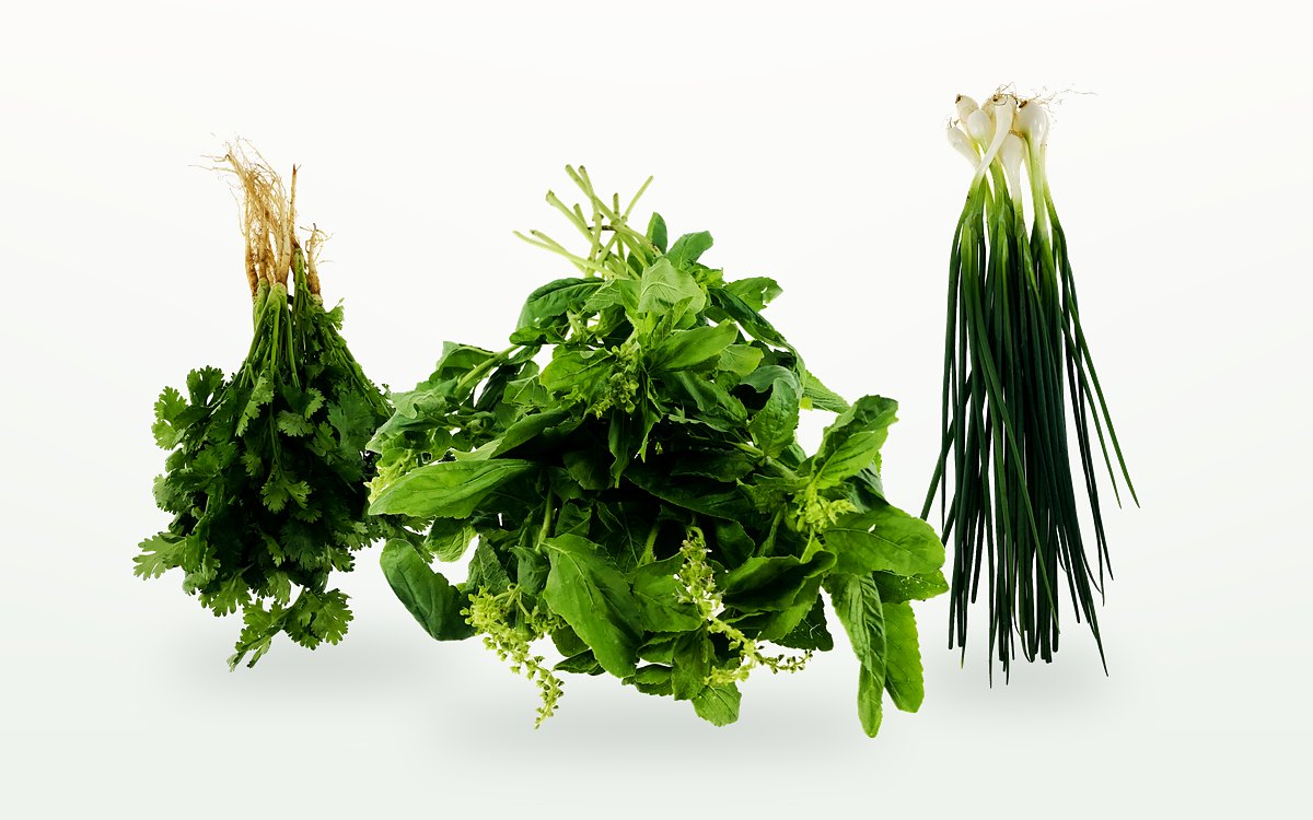 Fresh Thai herbs: coriander, leafy greens and spring onion, studio shot
