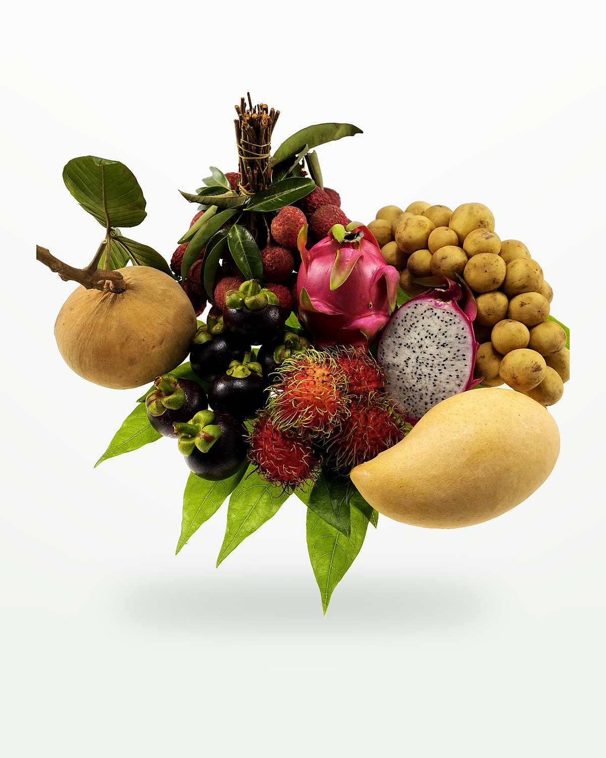 Thai tropical fruit: mango, mangosteen, rambutan, lychee, longan, dragon fruit and sapodilla