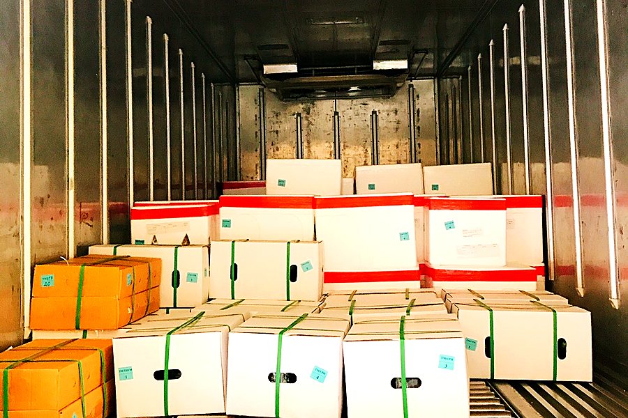 Export cartons loaded in a refrigerated truck