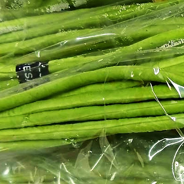 Yard-long bean